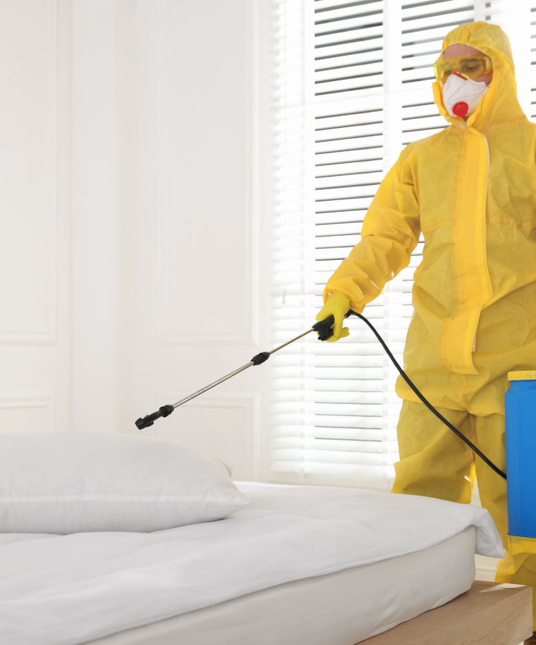 Professional Pest Control Team in Elizabeth Downs